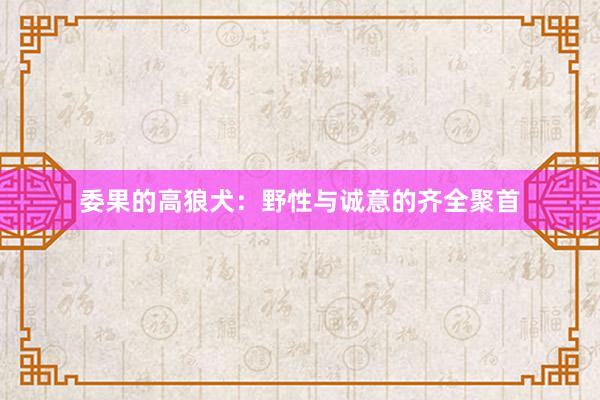 委果的高狼犬:野性与诚意的齐全聚首