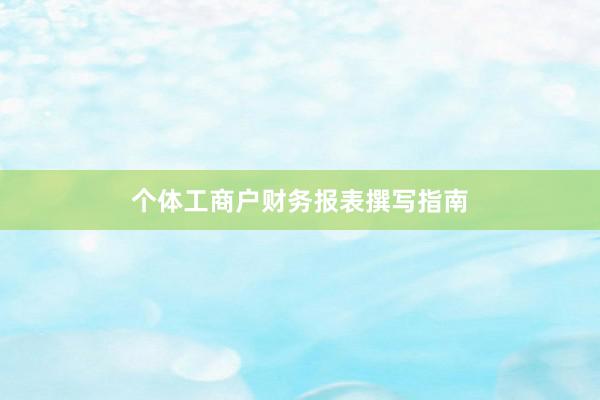 个体工商户财务报表撰写指南